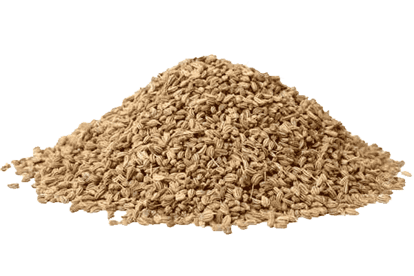 Ajwain_Carom__Seeds.png