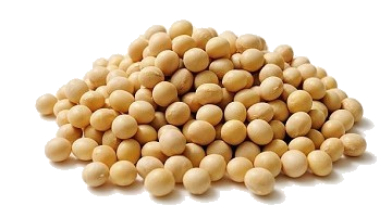 soybean-seeds-1516602346-3597070.png